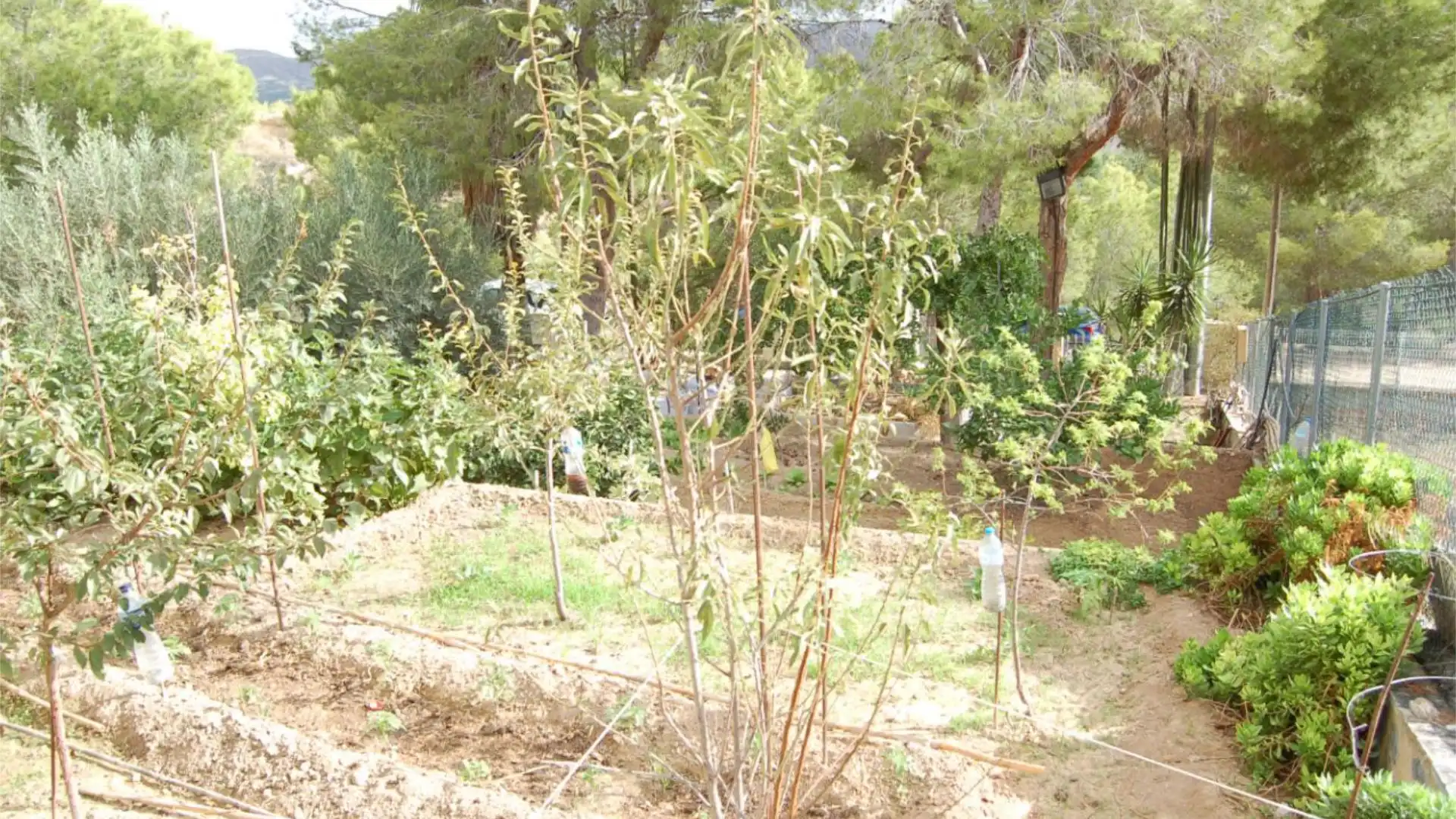 Chalet en  Urbanización la Pinada 37 - Foto 42