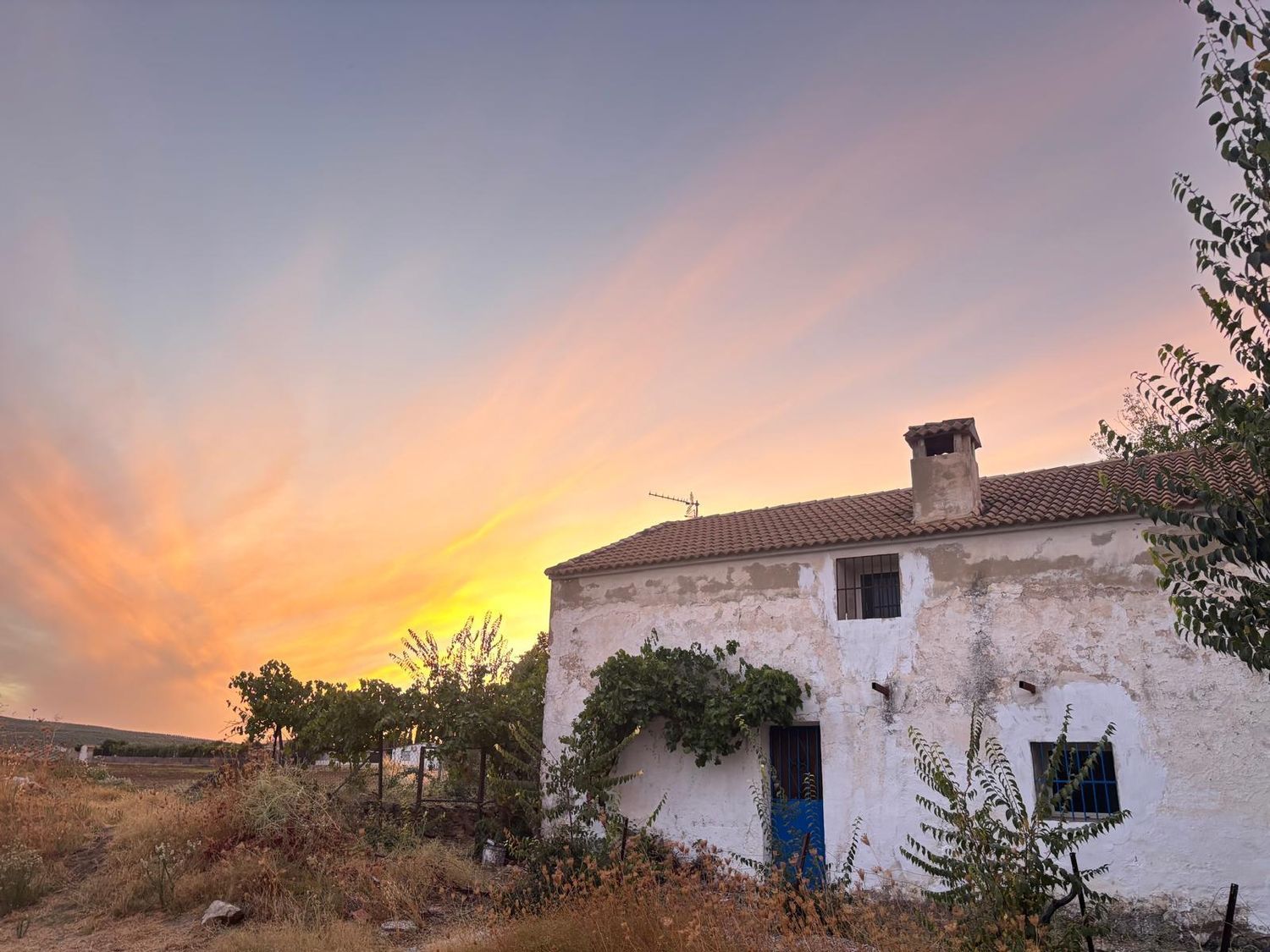 Finca rústica en Camino de Setenil a Alcalá del Valle s/n - Foto 10