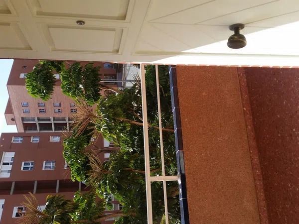 Dúplex en calle Concejal García Feo, 8 - Foto 32