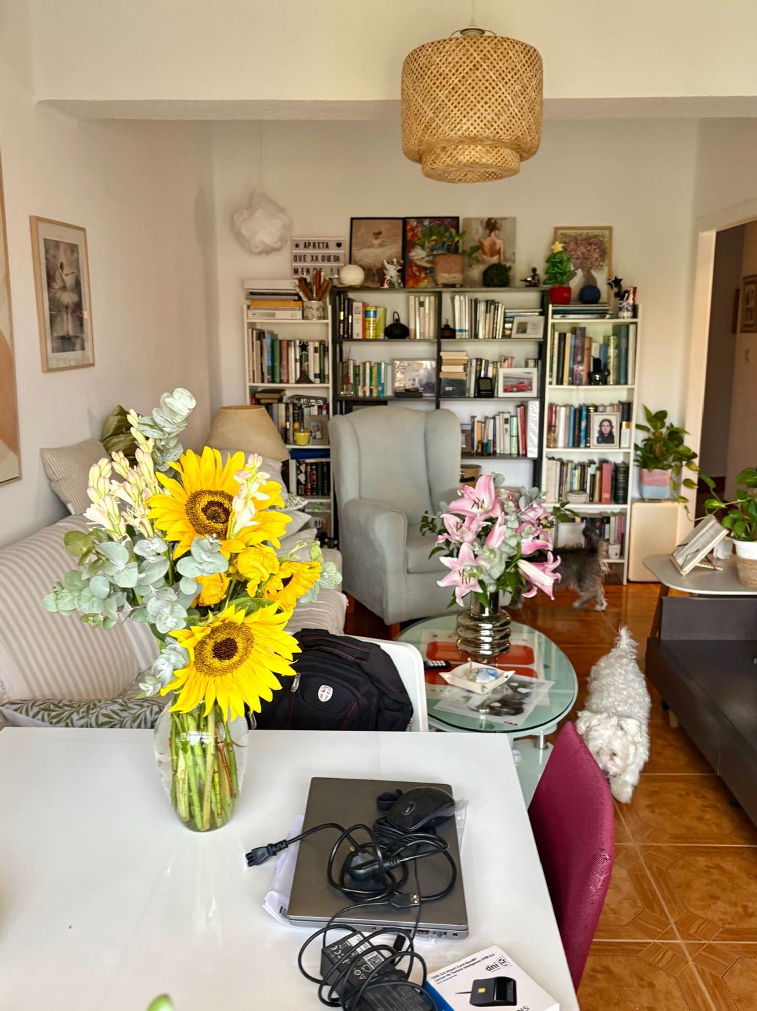 Piso en Calle Colón, 30, Casco Viejo, Casco Viejo - Foto 25