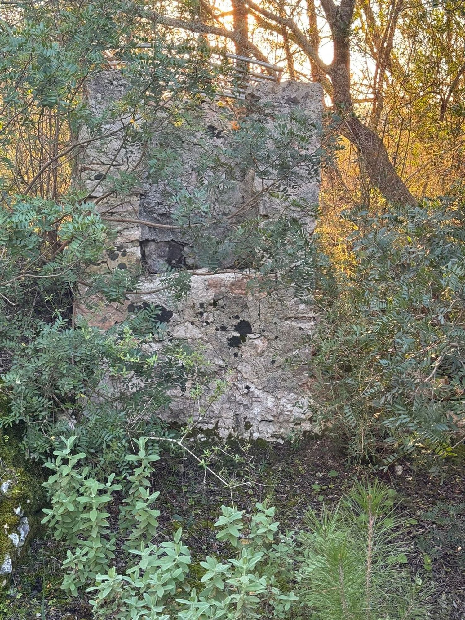 Finca rústica en Camino CamÍ de Son Bernat s/n - Foto 5