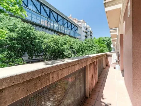 Piso en campo sagrado, 15