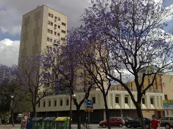 Piso en avenida de Ramón y Cajal, 6
