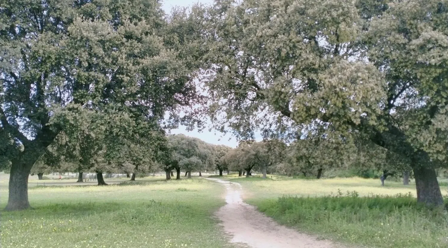 Piso en Urbanización el Soto, 12 - Foto 13