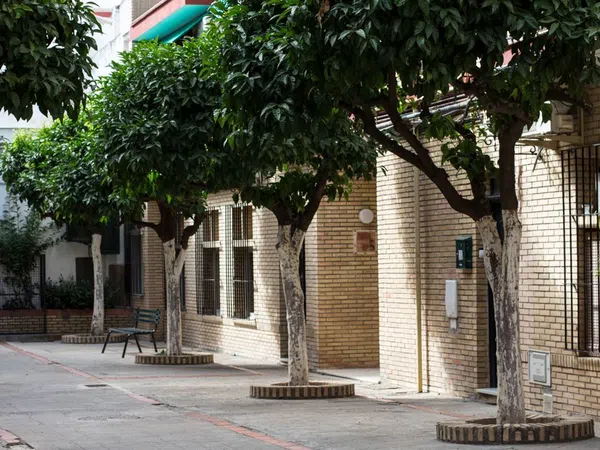 Piso en Calle San Jacinto, 25, Calle Betis - Pagés del Corro - Foto 9