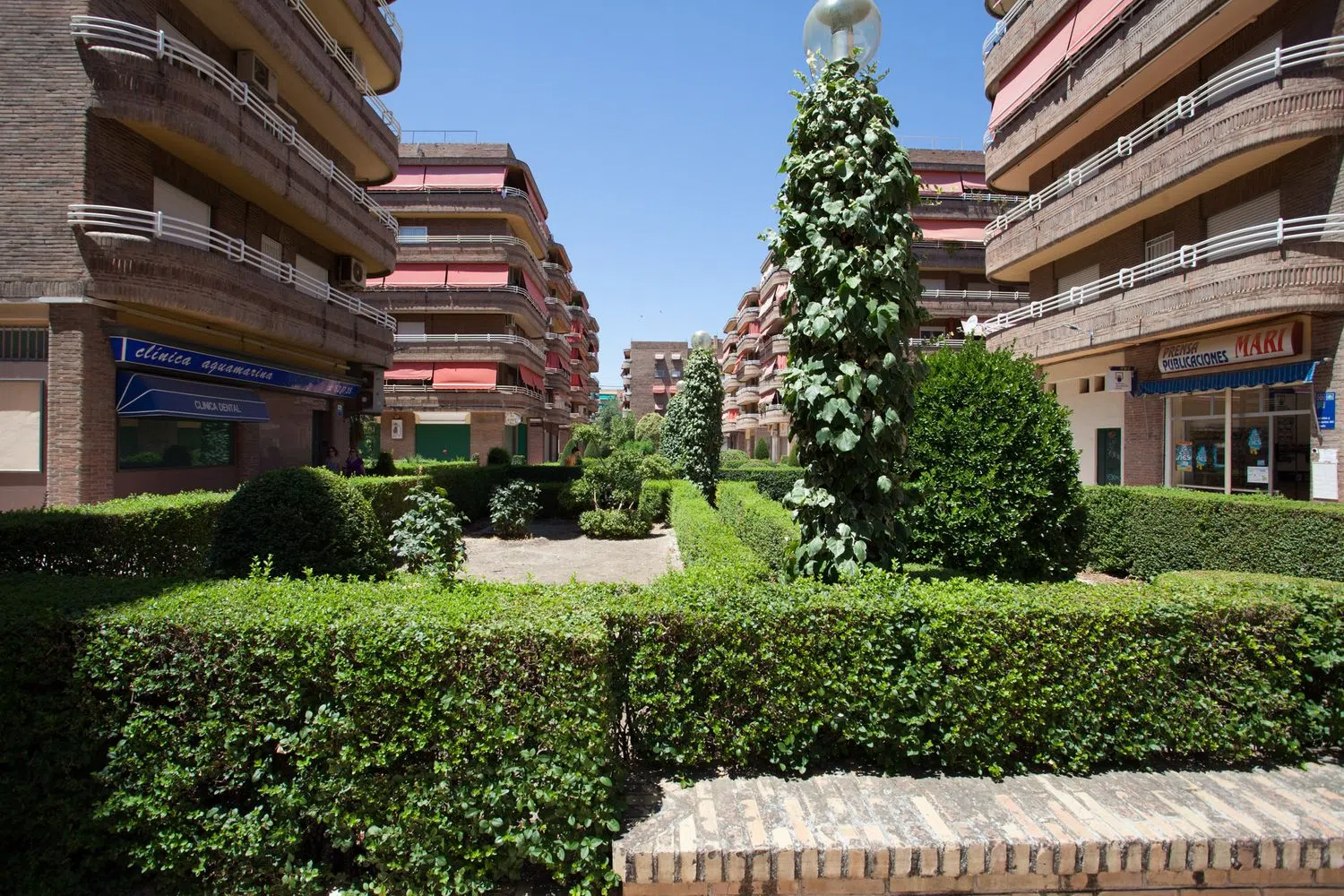 Ático en calle Profesor Agustín Escribano, 1 - Foto 34