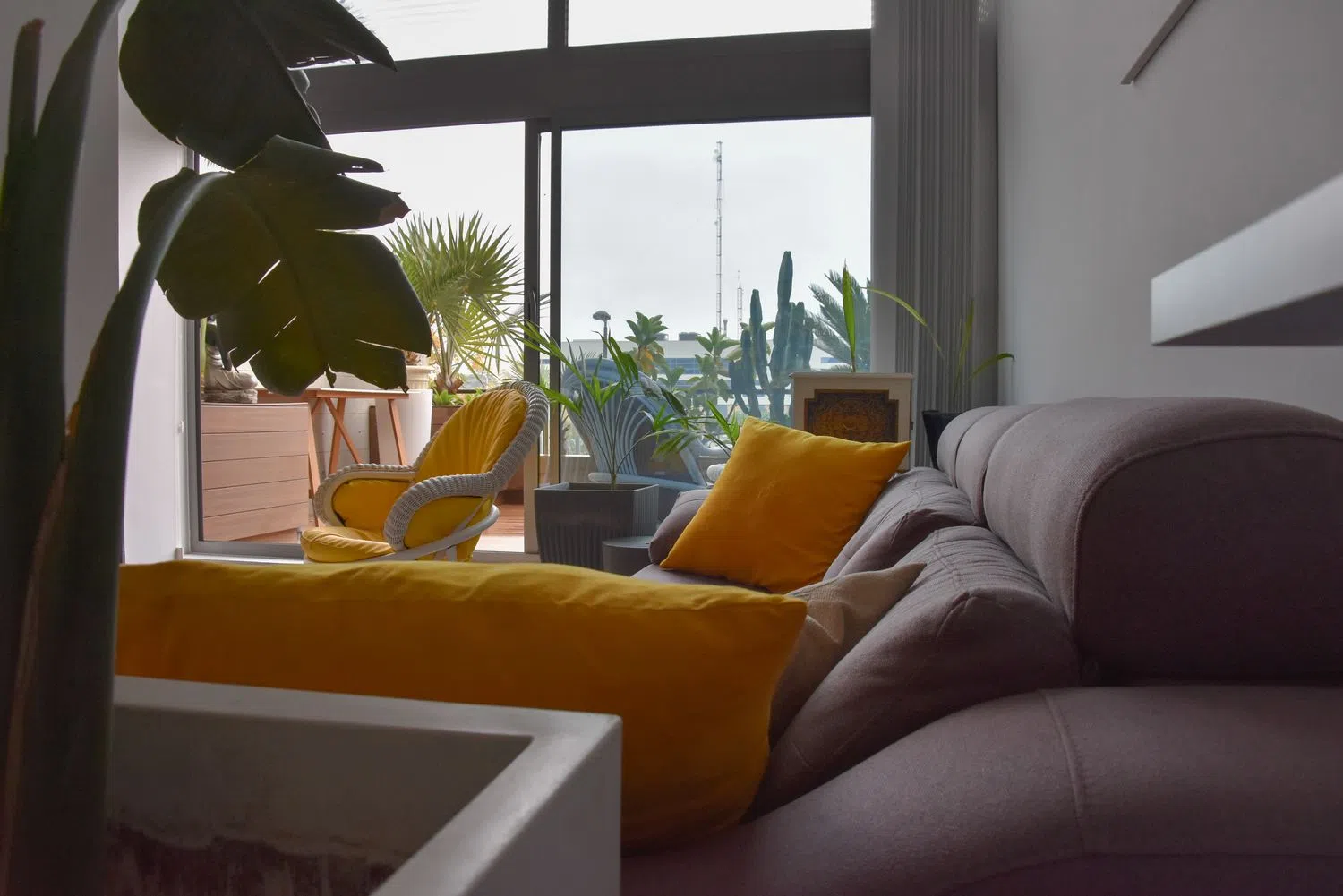 Estudio en calle de la Creu Roja, 1 - Foto 2