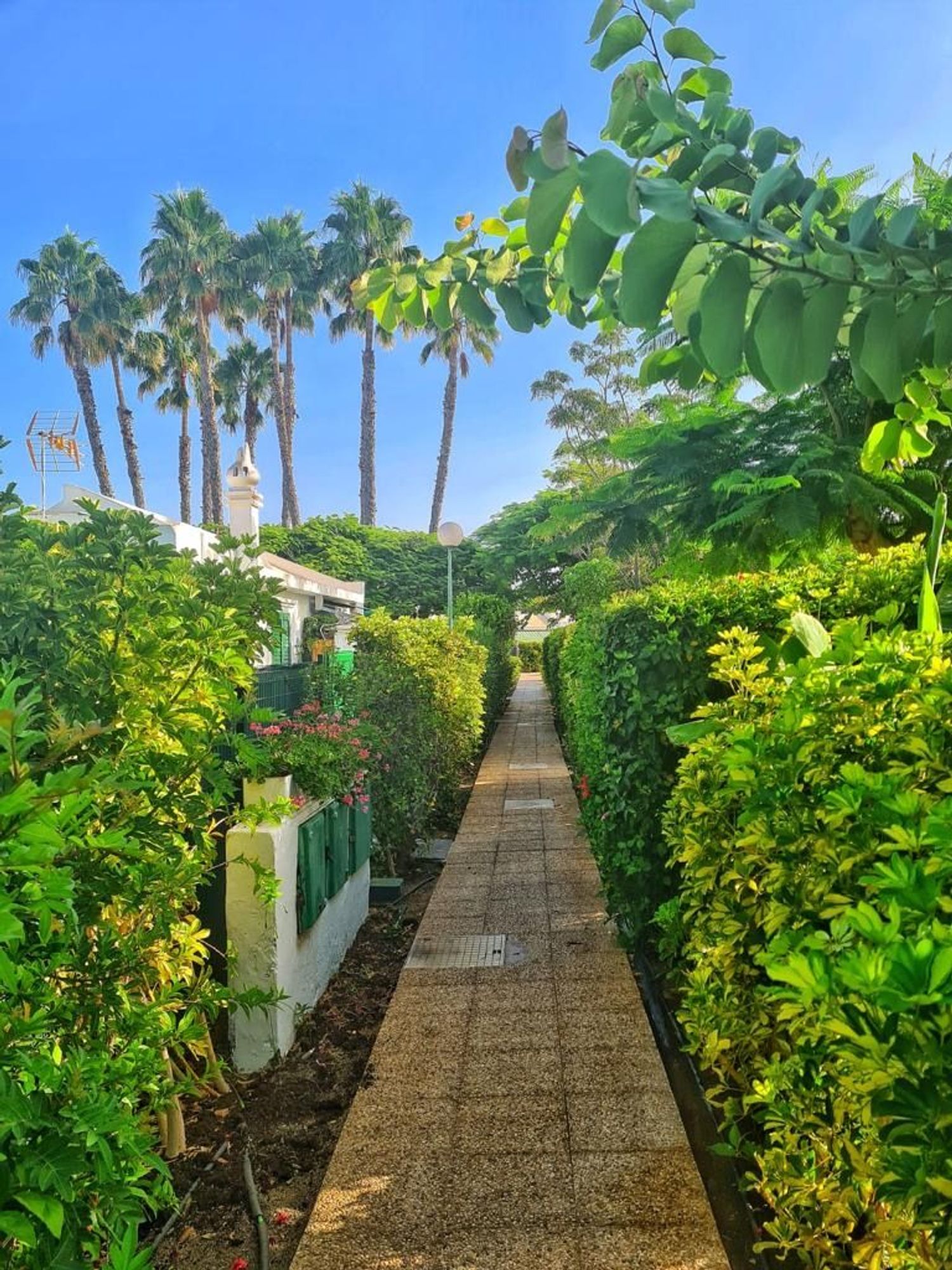 Chalet adosado en Avenida Touroperador Intamu, 2, Maspalomas-Meloneras, Maspalomas-Meloneras - Foto 21