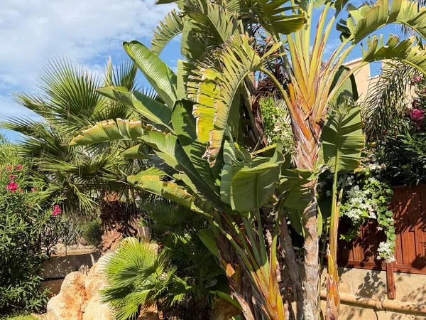 Casa o chalet independiente en Calle des Ferrallo M, 25, Cala Figuera, Cala Figuera - Foto 10