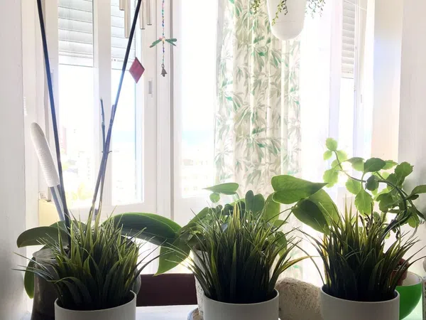 Piso en calle de las Mercedes, 19 - Foto 3