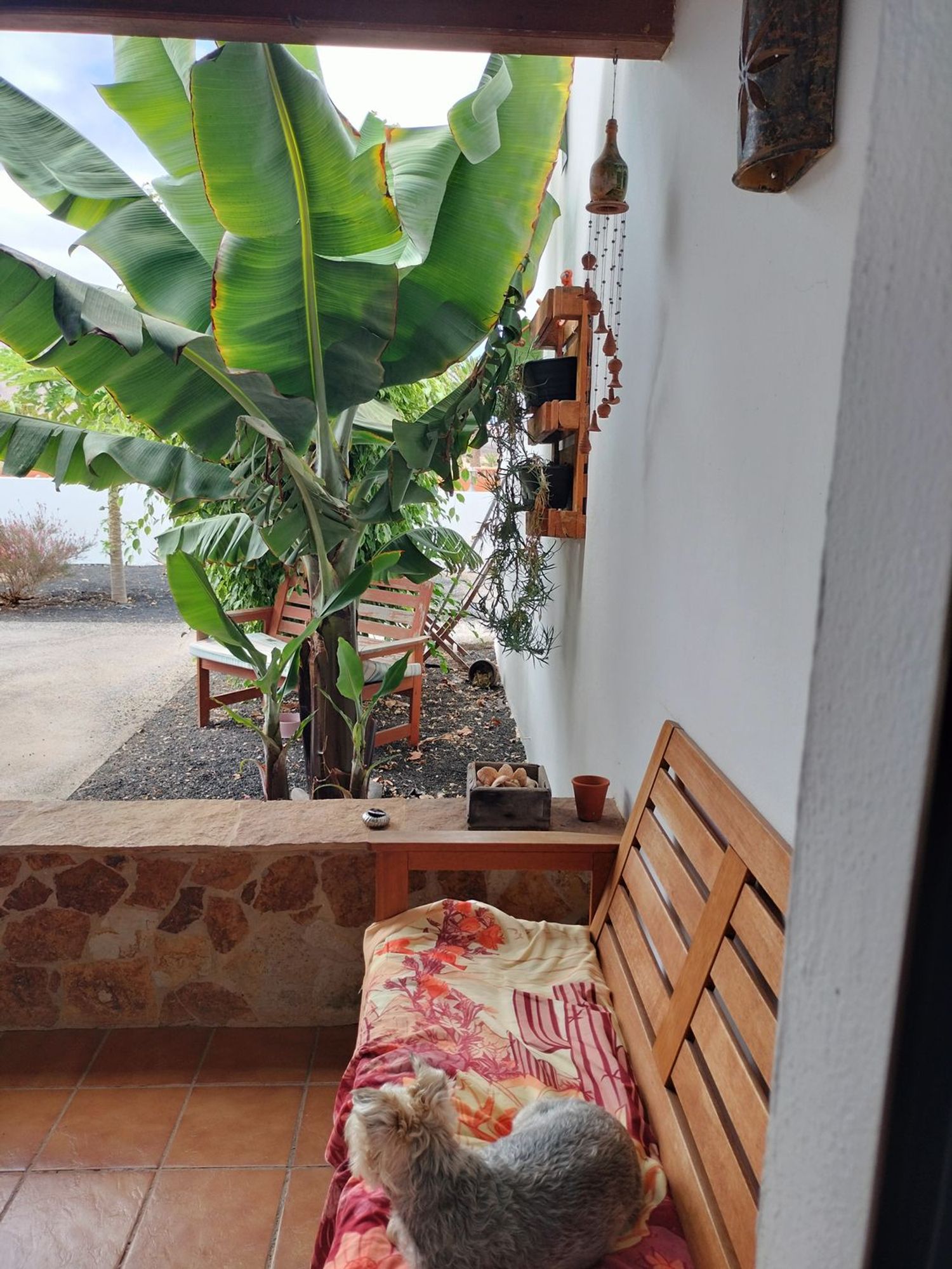 Casa o chalet independiente en Calle los Olivos, 14, La Oliva, La Oliva - Foto 7