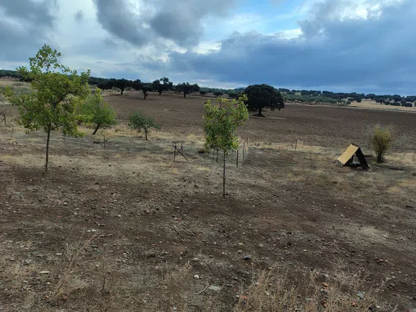 Cortijo en Cortijo en Ex-323 s/n - Foto 32