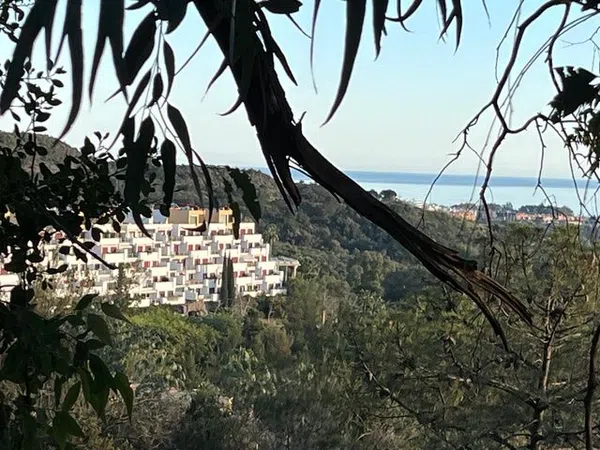 Piso en Urb. parque botanico Los Flamingos - Foto 13