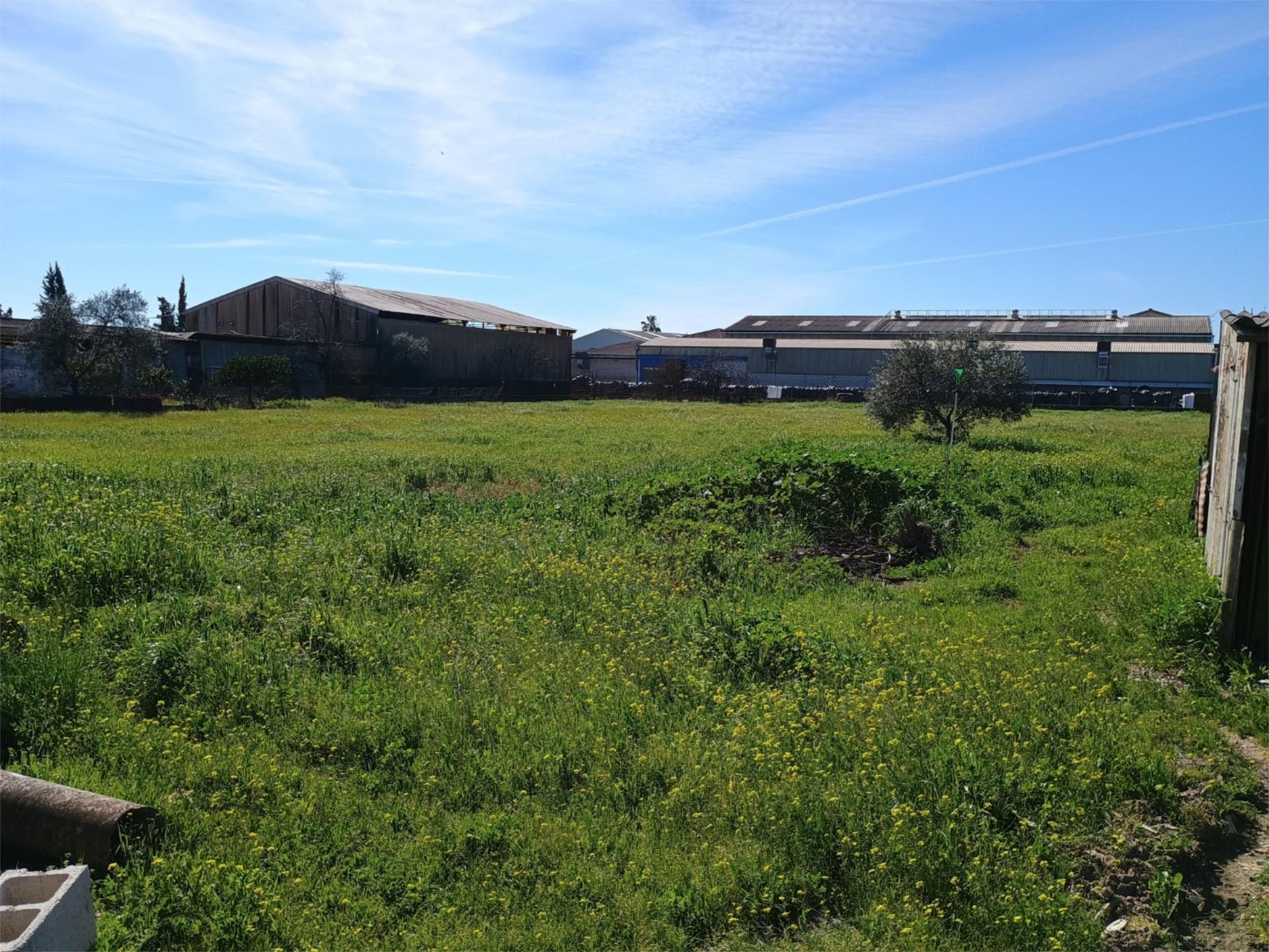 Finca rústica en  Camino de la Barquera 51 - Foto 17