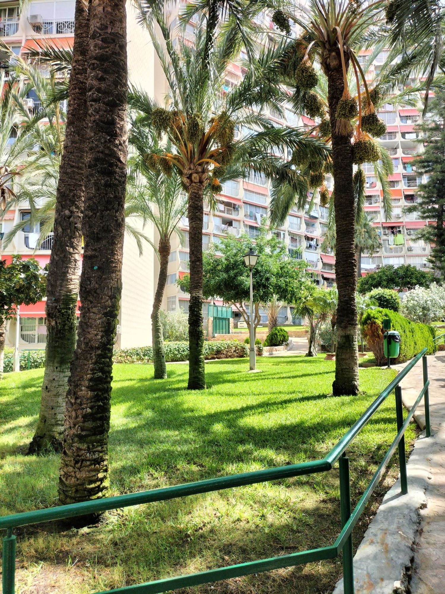 Piso en Avenida de Montecarlo, 26, Zona Sierra Helada - Foto 8