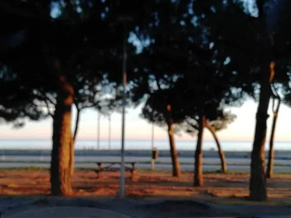 Piso en Calle Rafael de Casanova, 50, Can Pou - Camp de Mar, Can Pou - Camp de Mar - Foto 35