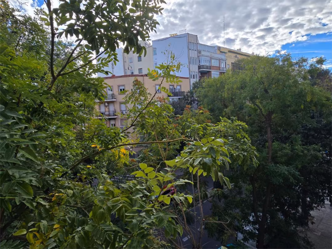 Piso en  Calle de Jaime el Conquistador 38 - Foto 18