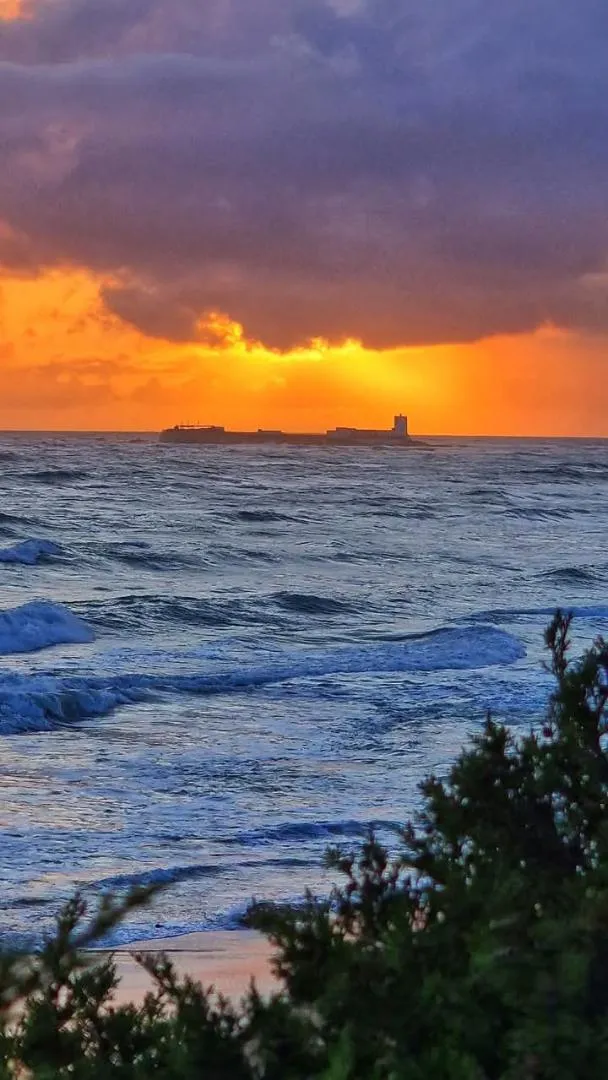 Chalet en  Avenida de la Diputación 22 - Foto 22