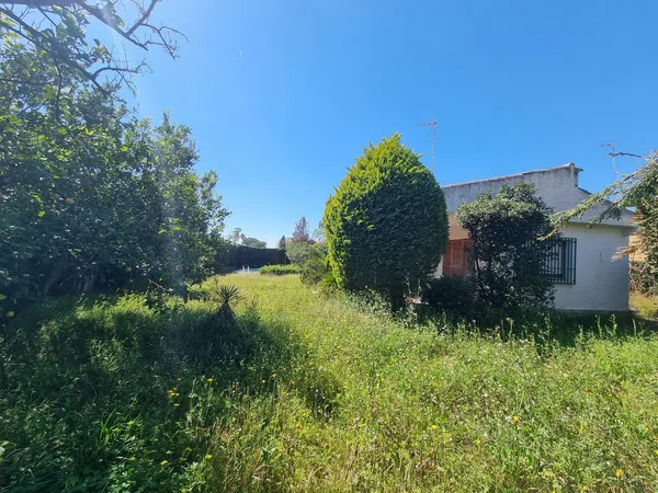 Casa o chalet independiente en El Carme-Sant Agustí-Bonavista, El Carme-Sant Agustí-Bonavista - Foto 12
