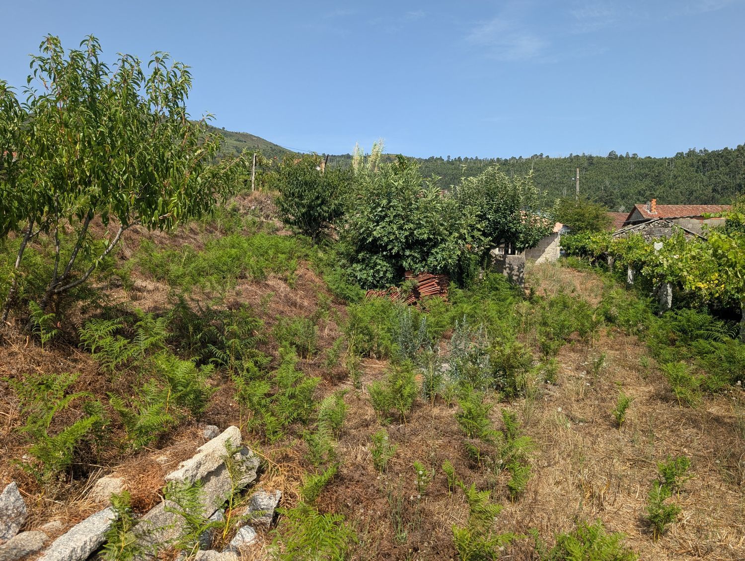 Casa de pueblo en Rubios barxa, 1 - Foto 20