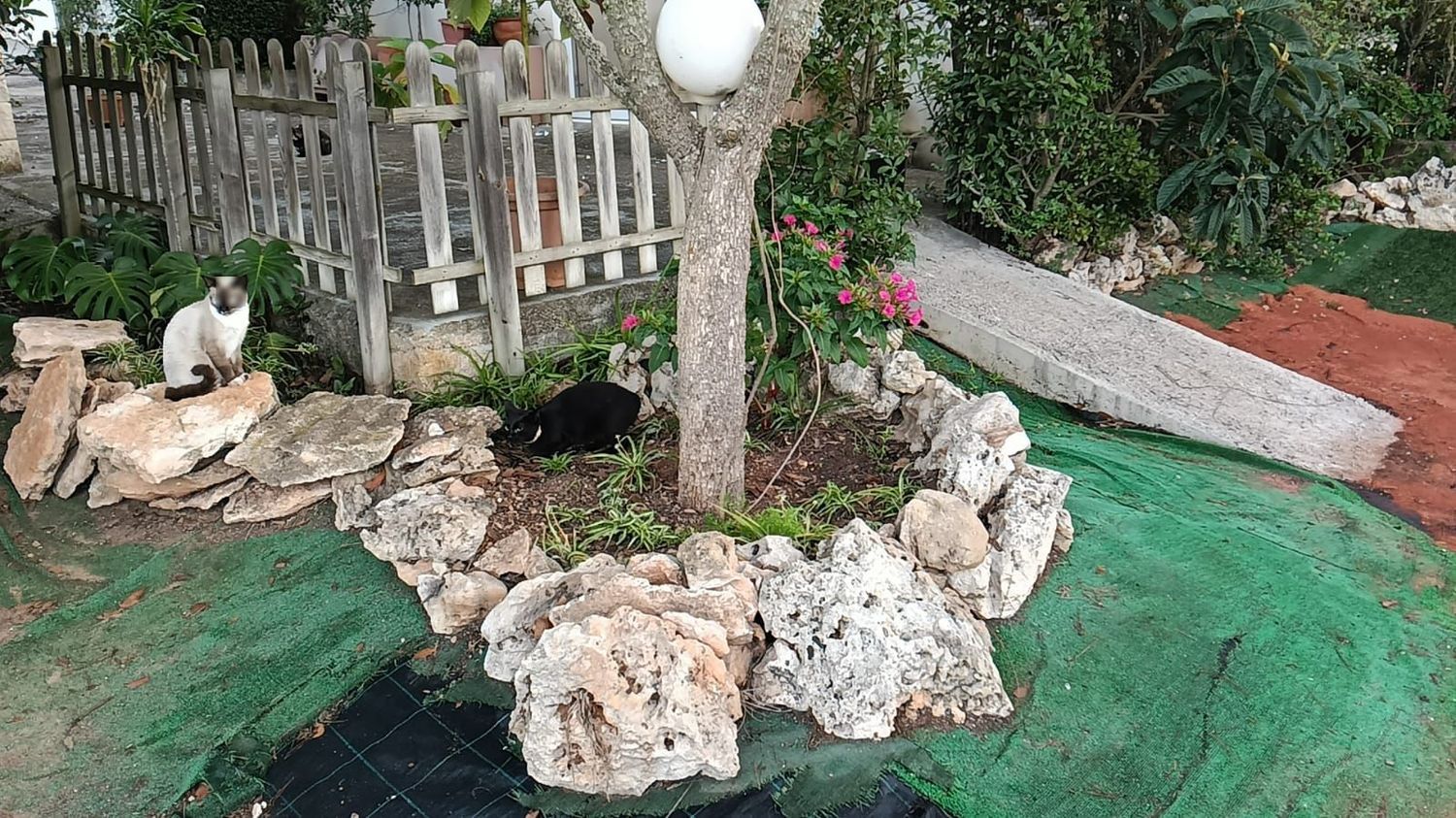 Casa o chalet independiente en Ma-15E, 15 km - Foto 3