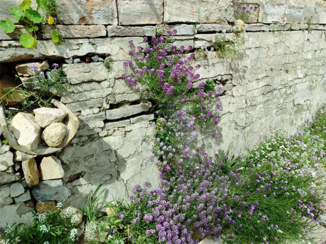 Chalet en  Calle María Nicolasa 9 - Foto 31