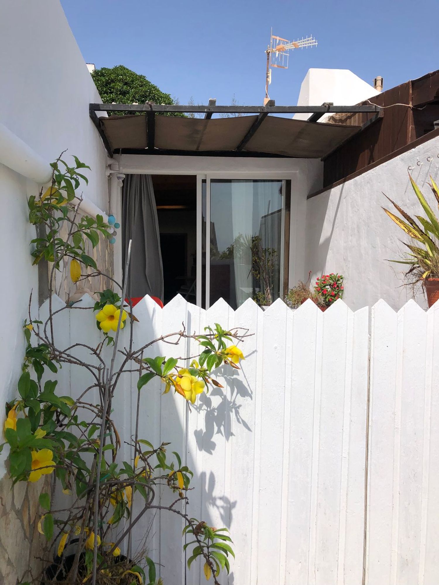 Estudio en Avenida Jahn Reisen, 31 - Foto 3