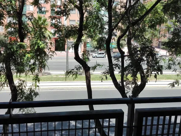 Piso en Avenida juan carlos i, 21, Santa María de Gracia - Foto 8