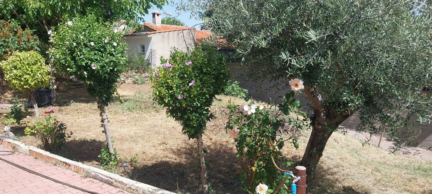 Casa o chalet independiente en Pez, 8 - Foto 22