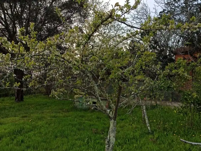 Planta baja en  Rúa Doutor Martínez Rodríguez 22 - Foto 36