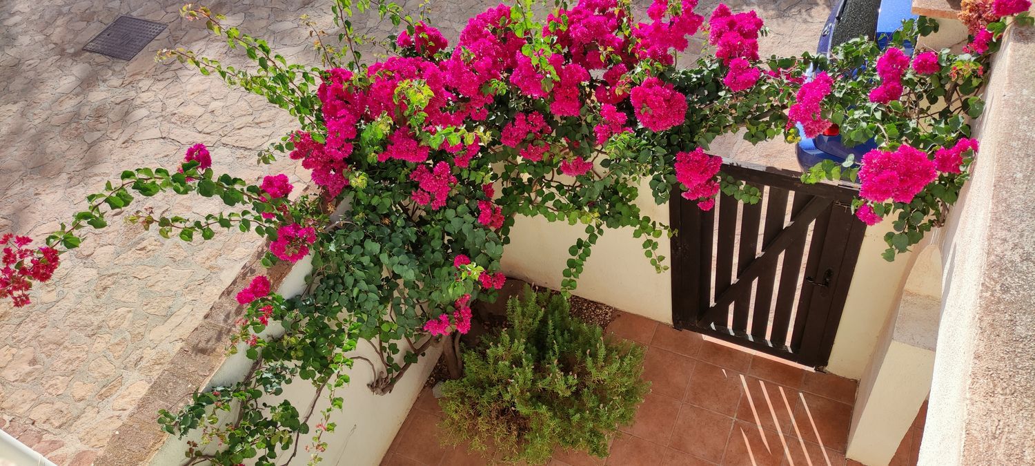 Chalet adosado en Calle Cala Higuera s/n - Foto 15