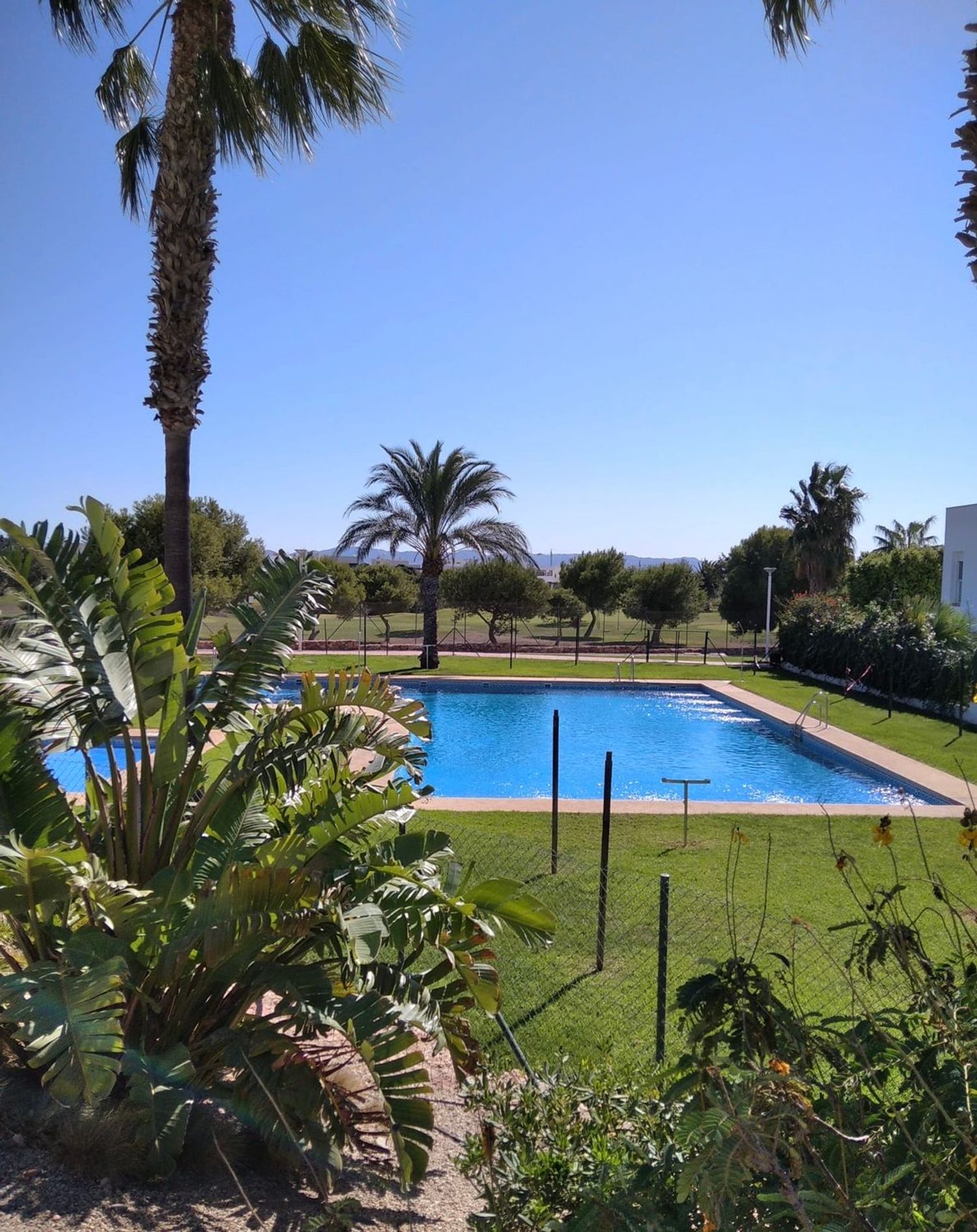 Piso en Avenida juegos mediterráneos y voleibol, 2025 - Foto 25