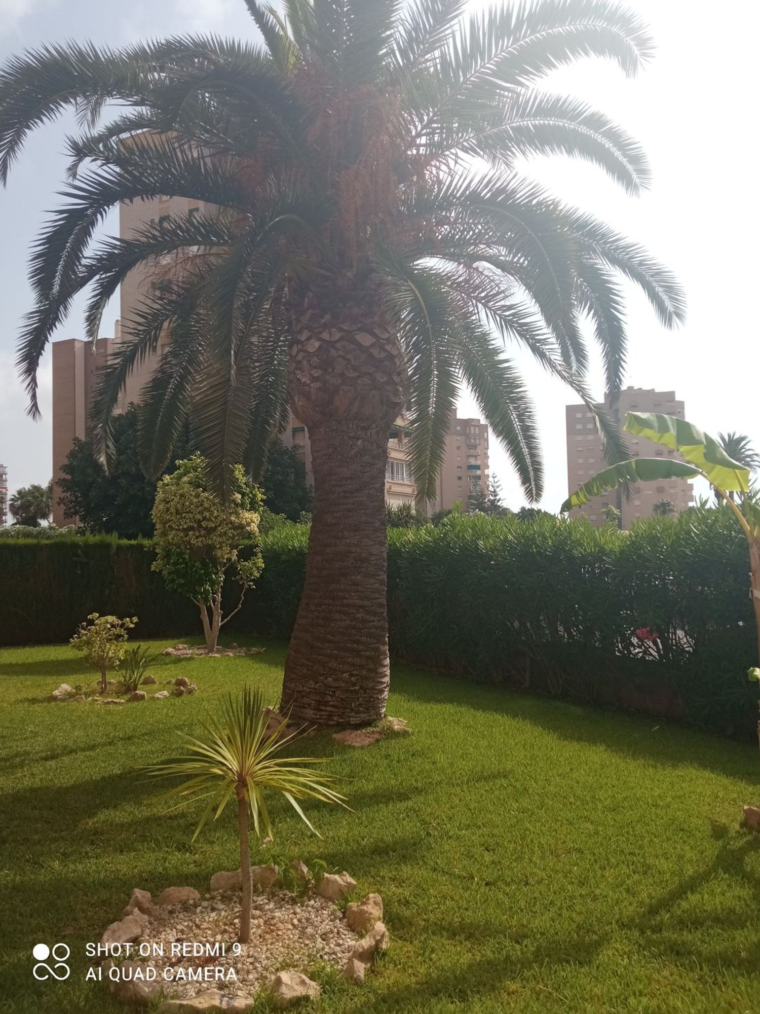 Piso en Calle Teodoro Llorente, 16, Campoamor - Foto 30