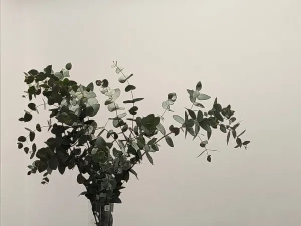 Estudio en calle Virgen de la Esperanza, 2 - Foto 7