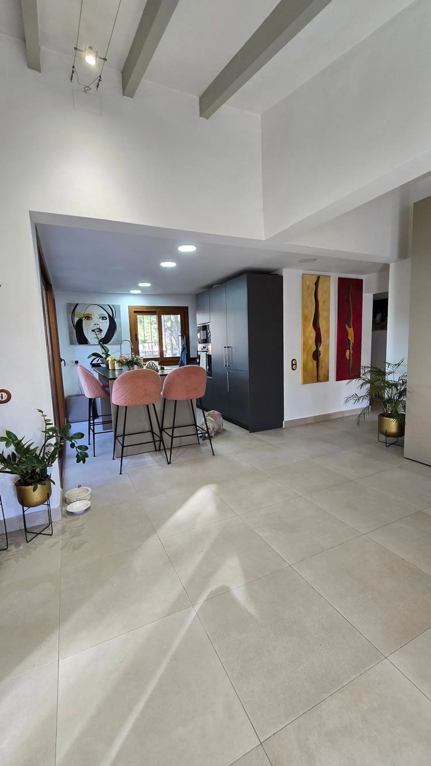 Casa independiente en Rei Jaume Ii, 17 - Foto 1