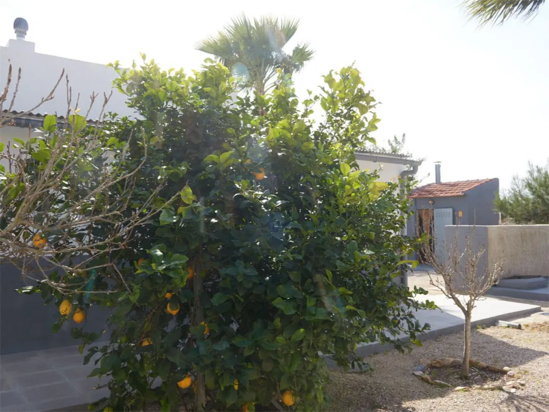 Chalet en  Partida Daimes 216 - Foto 92