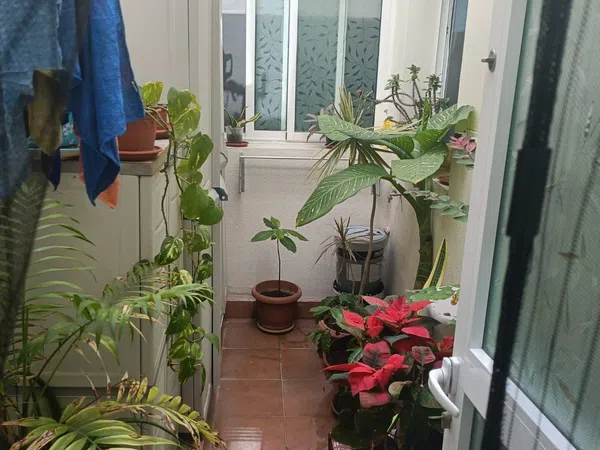 Piso en Calle Manuel Galván Rodríguez, 46, Casa Ayala - Costa Ayala - Foto 20
