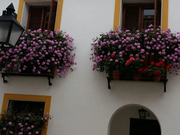 Casa independiente en Barrio Casco Histórico - Corredera - Ribera