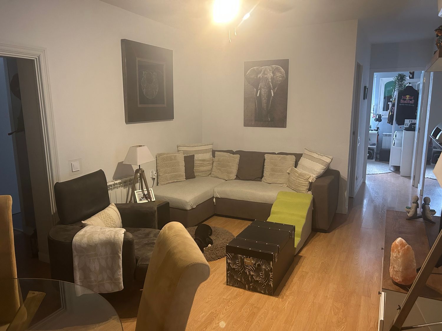 Piso en Avenida de la Caza, 11, Campodón - Ventorro del Cano - Foto 11