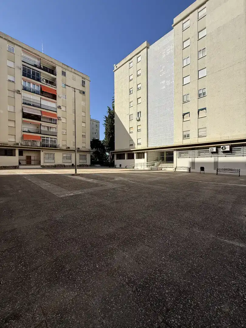 Piso en  Plaza del Caballo 5 - Foto 3