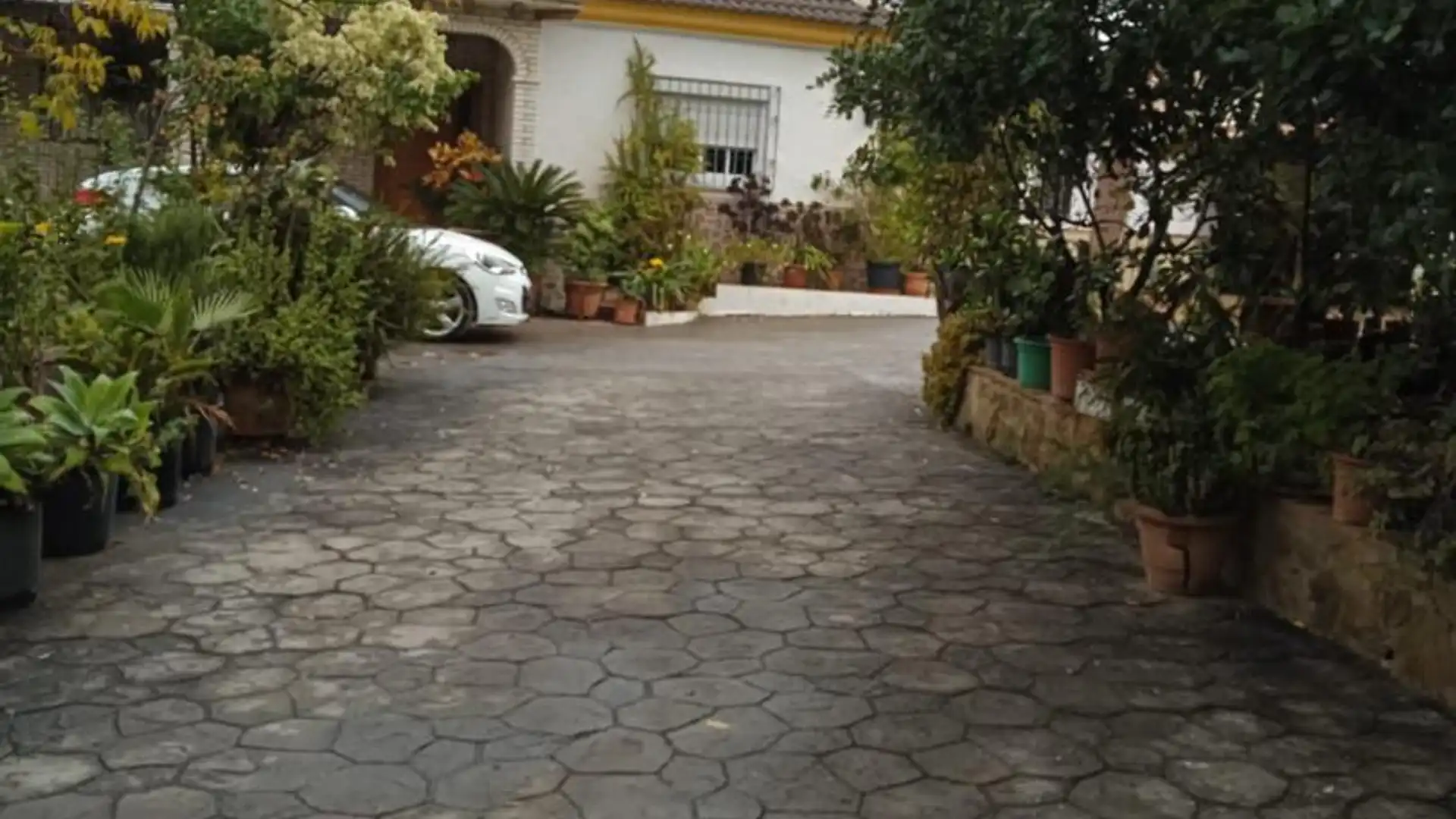 Finca rústica en  Calle Atlántida 242 - Foto 15