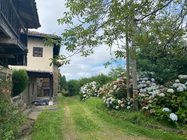 Casa rural en Omedas km2, 2 km - Foto 8