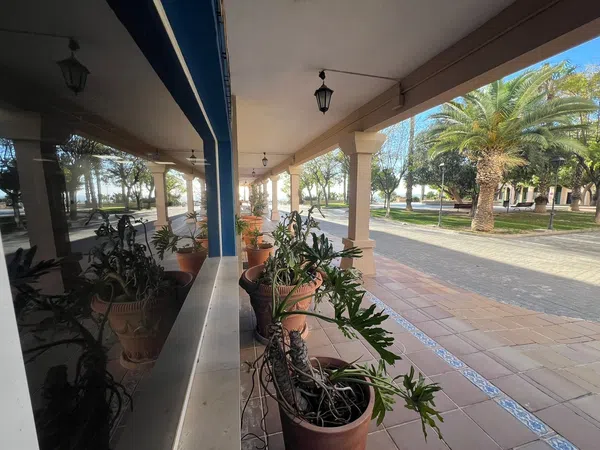 Estudio en calle de la Nit, 1 - Foto 5