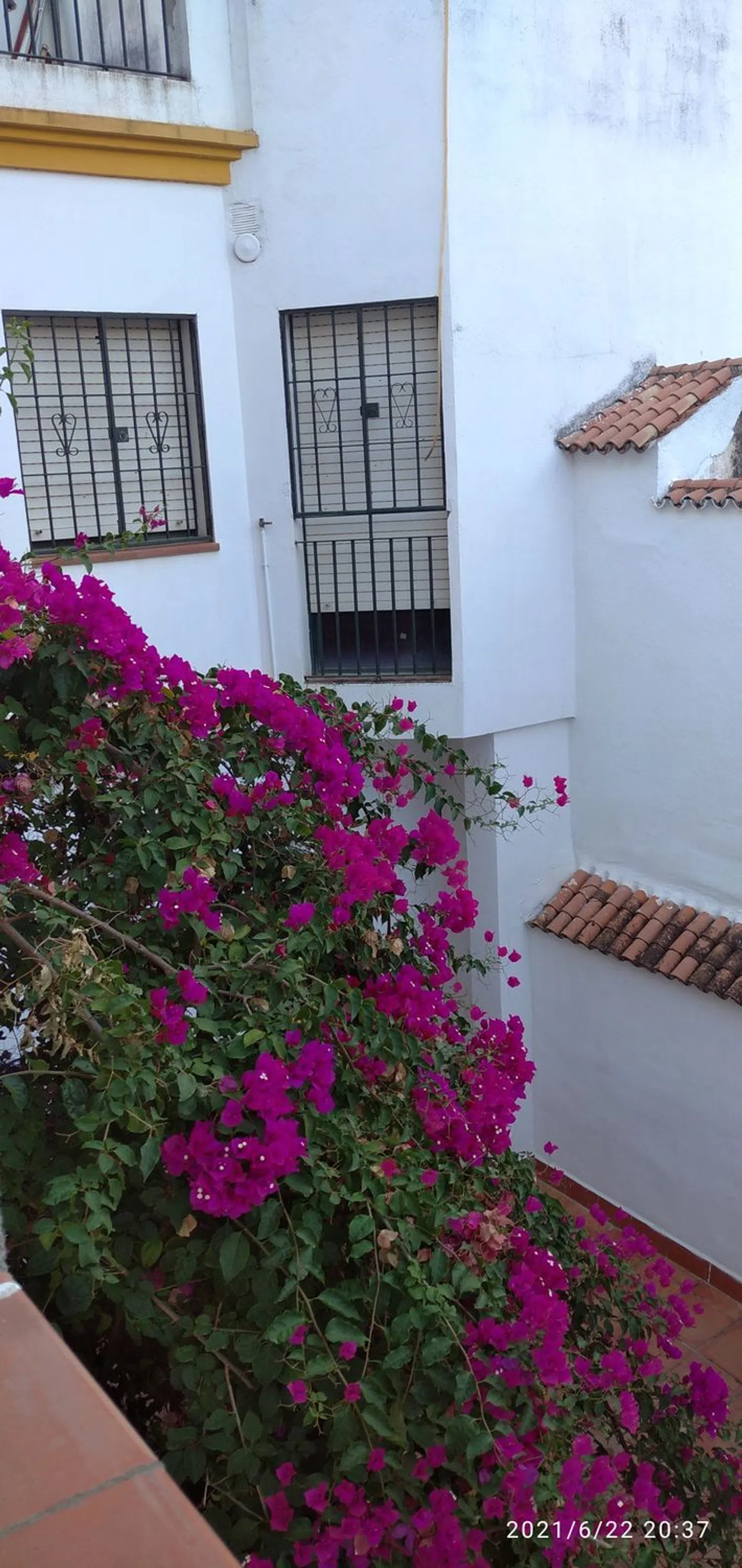 Piso en Barrio Casco Histórico - Ollerías - Marrubial - Foto 12