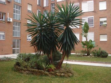 Apartamento en  Calle Porvenir 14 - Foto 8