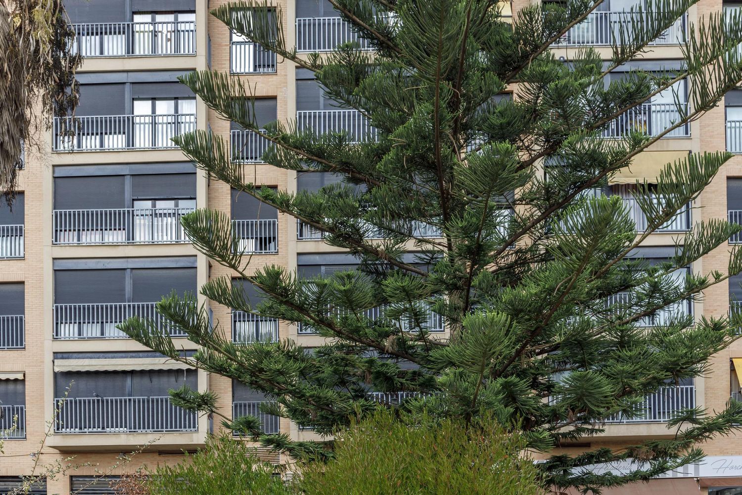 Piso en La Creu del Grau, La Creu del Grau - Foto 50