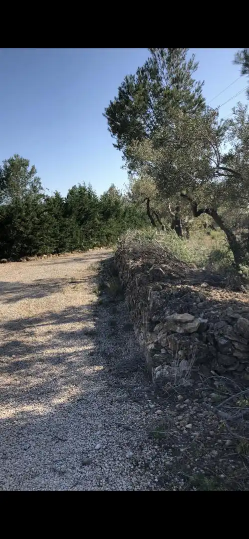 Finca rústica en  Passeig de I'Almadrava 13 - Foto 8