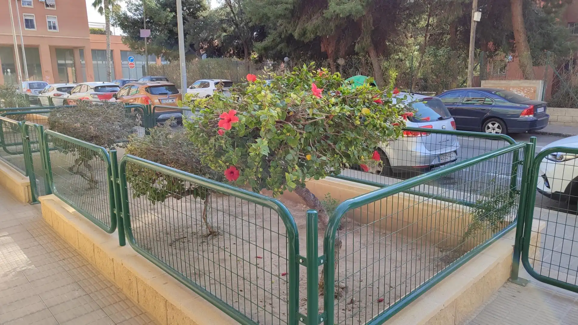 Local comercial en Alicante / Alacant - Foto 4
