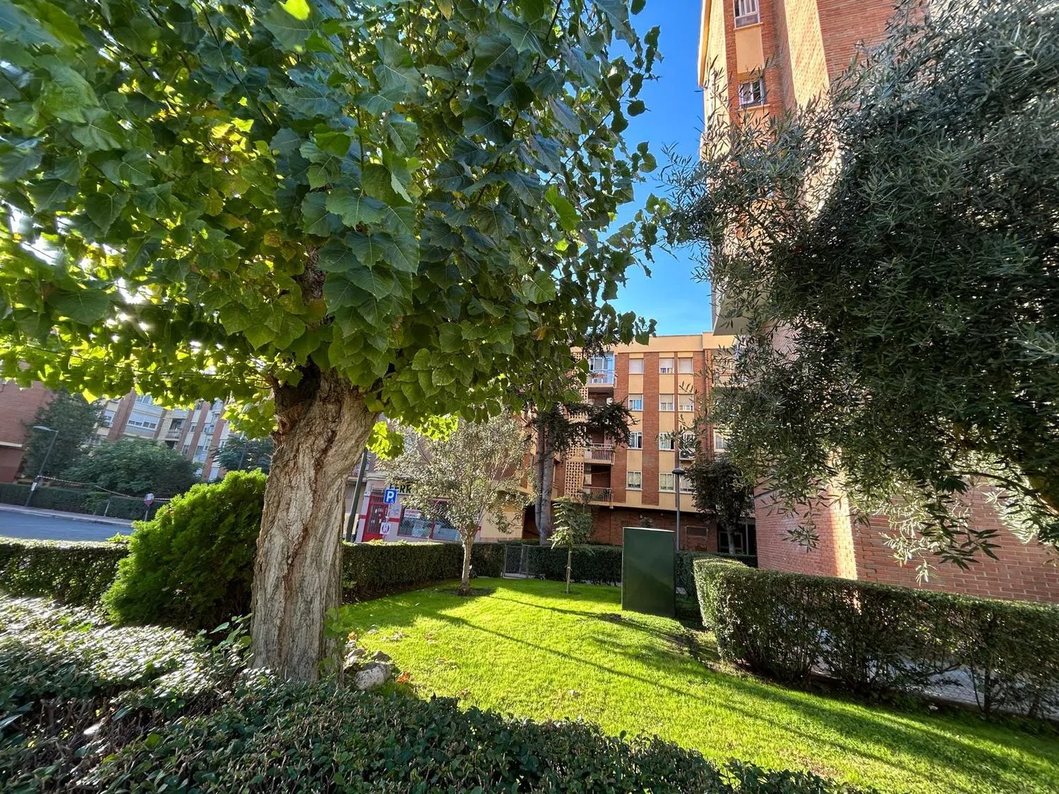 Piso en Cervantes, 7 - Foto 1