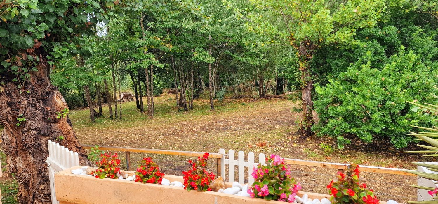 Casa o chalet independiente en Na Marxanda s/n, Canyamel, Canyamel - Foto 4